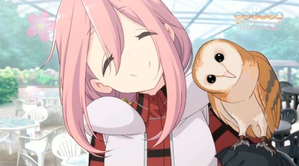 摇曳露营最新版3