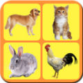 儿童识动物安卓版