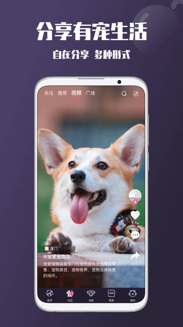 憨憨宠物服务平台2