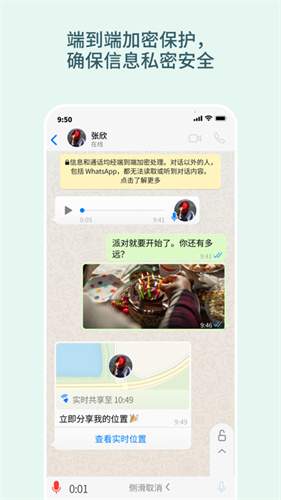 whatsapp纯净版