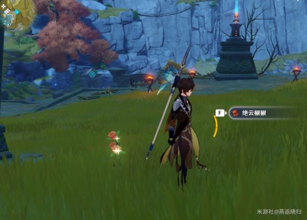 原神绝云椒椒收集路线一览