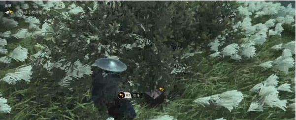 对马岛之魂政子的故事7·盗贼图文攻略
