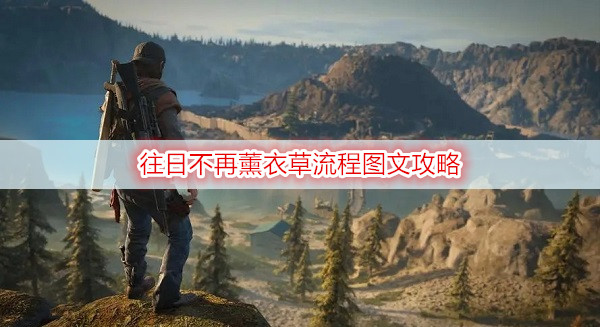 往日不再薰衣草流程图文攻略