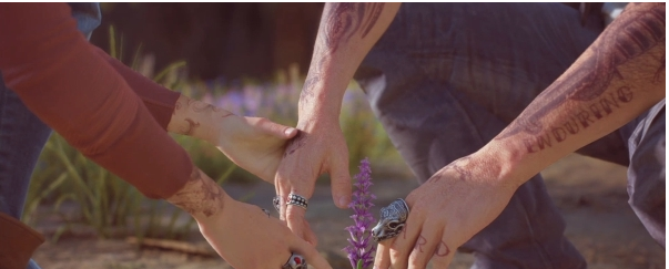 往日不再薰衣草流程图文攻略