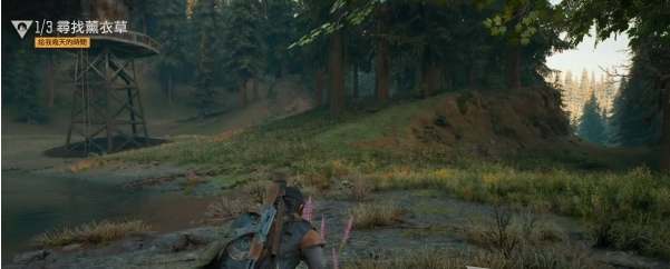 往日不再薰衣草流程图文攻略