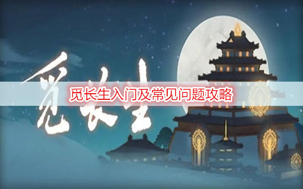 觅长生入门及常见问题攻略