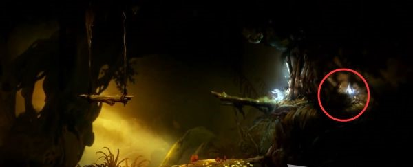 精灵与萤火意志水墨沼泽·豪尔巢穴图文流程攻略