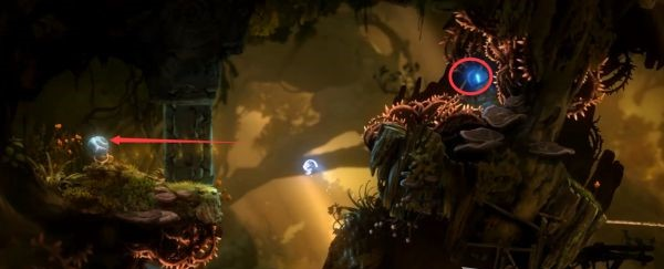 精灵与萤火意志水墨沼泽·前往夸洛克地穴图文流程攻略