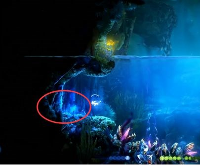 精灵与萤火意志泉源、泉源林地补收集图文攻略