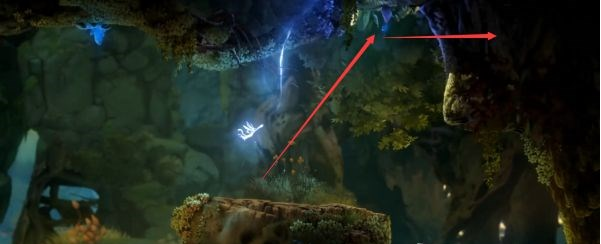 精灵与萤火意志泉源、泉源林地补收集图文攻略