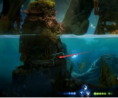 精灵与萤火意志泉源、泉源林地补收集图文攻略