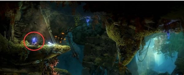 精灵与萤火意志泉源、泉源林地补收集图文攻略