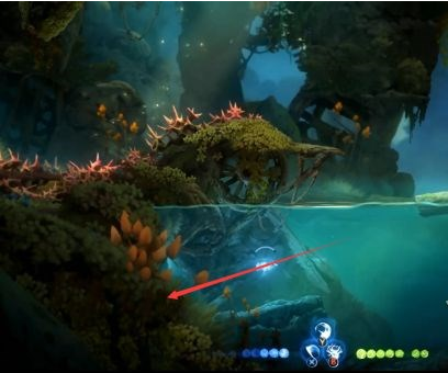 精灵与萤火意志泉源、泉源林地补收集图文攻略