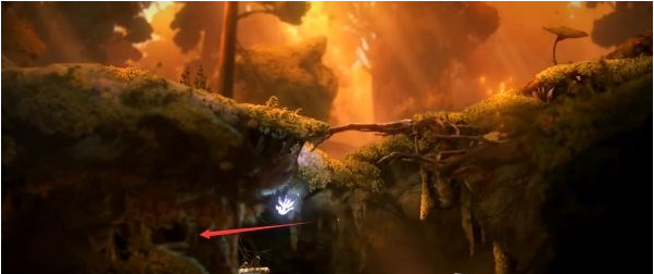 精灵与萤火意志泉源林地支线图文攻略