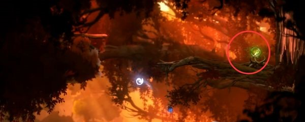 1679623121284075.png 精灵与萤火意志泉源林地支线2图文攻略