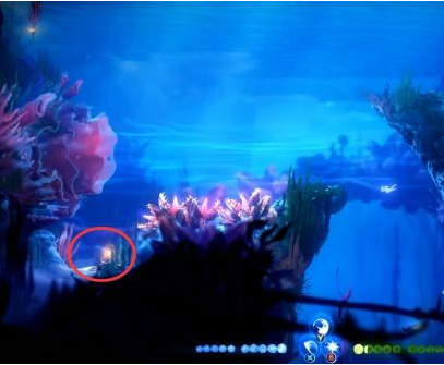 精灵与萤火意志光之池·找到夸洛克图文攻略