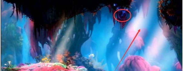 精灵与萤火意志光之池·找到夸洛克图文攻略