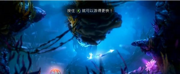 精灵与萤火意志光之池·找到夸洛克图文攻略