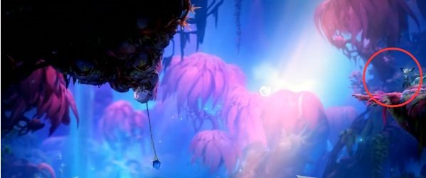 精灵与萤火意志光之池·找到夸洛克图文攻略