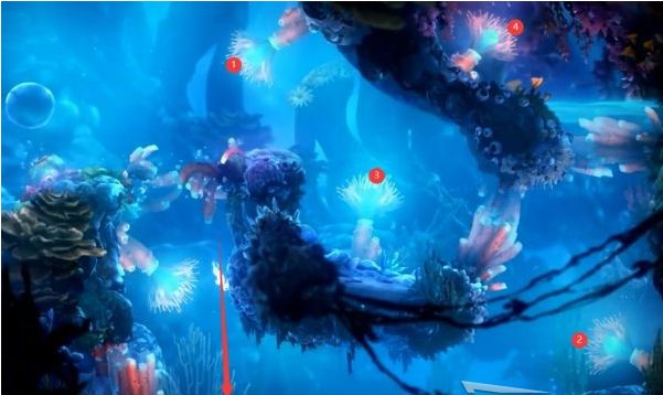 精灵与萤火意志光之池·找到夸洛克图文攻略