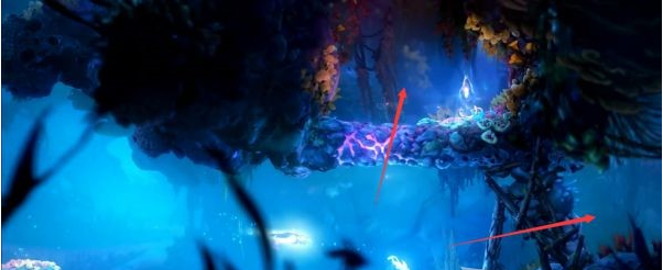 精灵与萤火意志光之池·找到夸洛克图文攻略