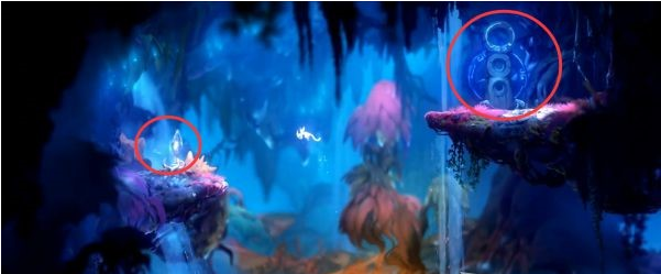 精灵与萤火意志光之池·找到夸洛克图文攻略