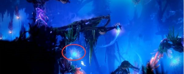 精灵与萤火意志光之池·找到夸洛克图文攻略