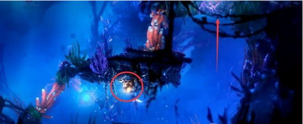 精灵与萤火意志光之池·找到夸洛克图文攻略