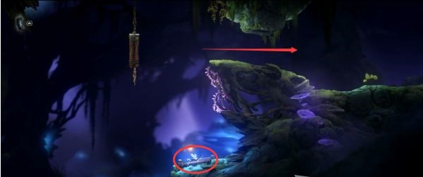 精灵与萤火意志午夜地穴图文攻略