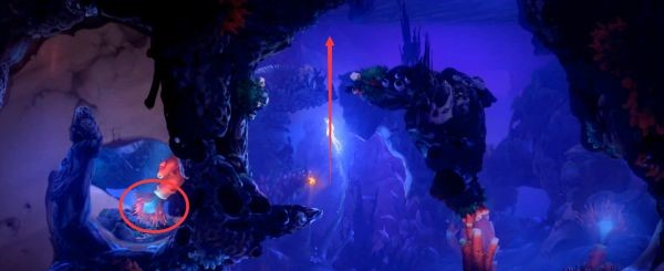 精灵与萤火意志补全收集·鲍尔之触、光之池图文攻略