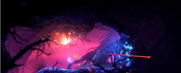 精灵与萤火意志灵树之末·后半段图文攻略