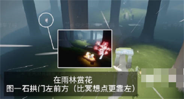 光遇花憩节赏花位置在哪里