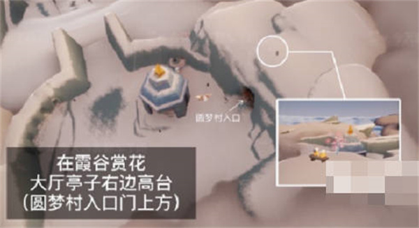 光遇花憩节赏花位置在哪里