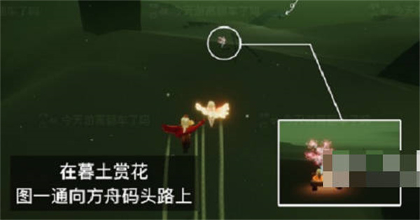 光遇花憩节赏花位置在哪里