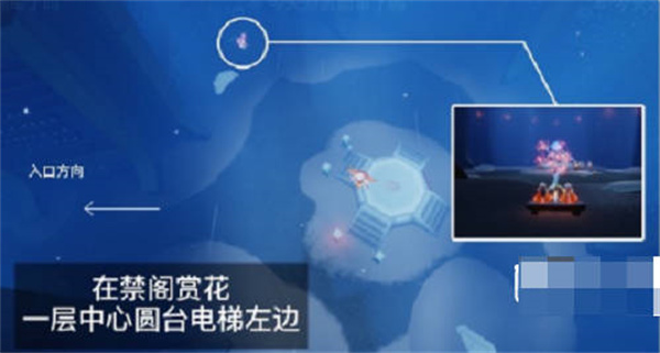 光遇花憩节赏花位置在哪里