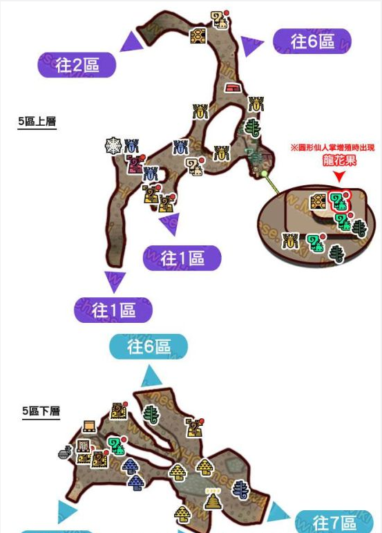 怪物猎人世界大蚁冢荒地·5区素材采集点地图