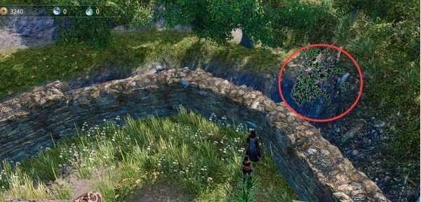 天命奇御2探索长空村-墓地、赵家鸡舍、自宅图文攻略