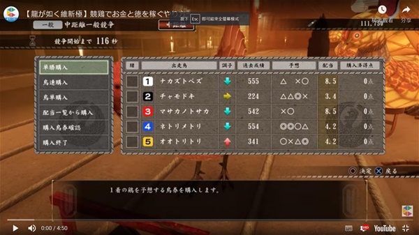 如龙维新极赛鸡高效赚钱方法介绍