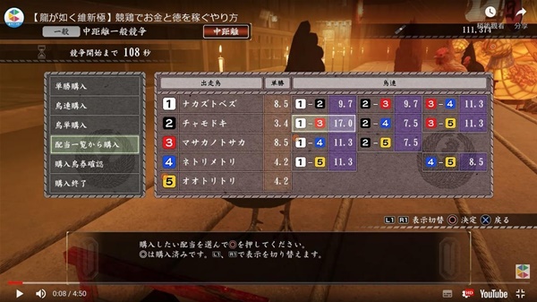 如龙维新极赛鸡高效赚钱方法介绍