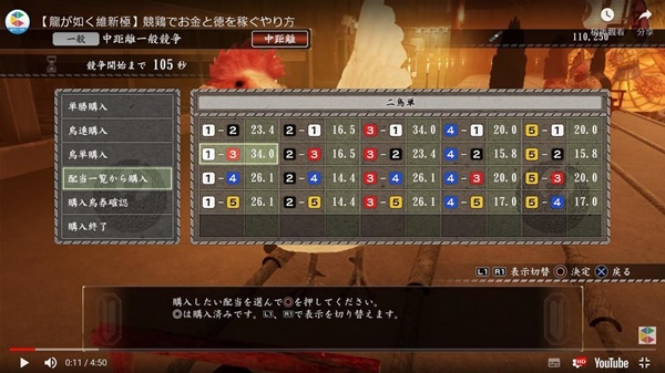 如龙维新极赛鸡高效赚钱方法介绍