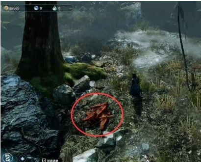 天命奇御2支线·报丧鸟图文攻略