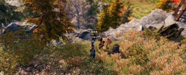 天命奇御2支线·双生血缘图文攻略