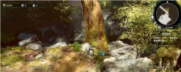 天命奇御2支线·双生血缘图文攻略