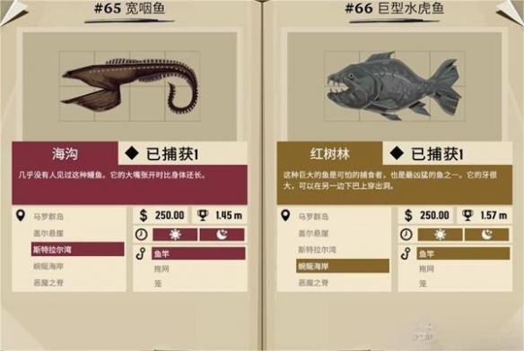 渔帆暗涌外来物种有哪些鱼