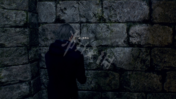 生化危机4重制版独角仙有什么用