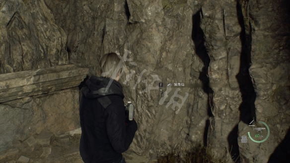 生化危机4重制版独角仙有什么用