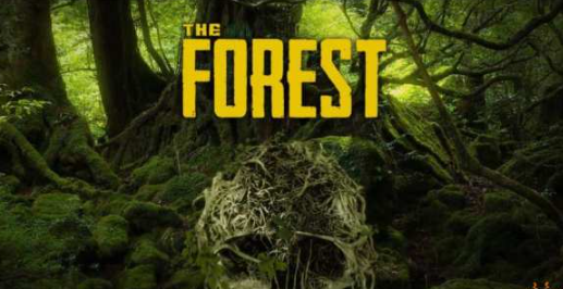 森林登山镐在哪