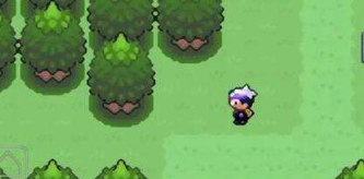 口袋妖怪漆黑的魅影金手指代码有哪些