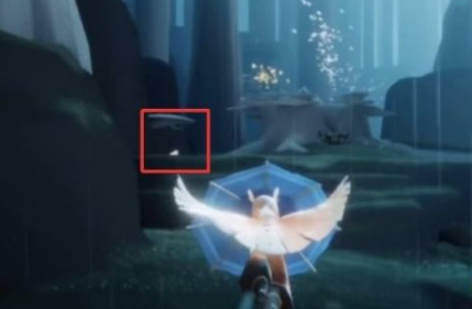 光遇雨林所有先祖位置在哪