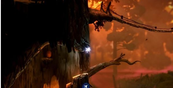 精灵与萤火意志泉源与林地图文攻略